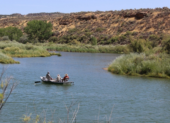 Fly Fishing