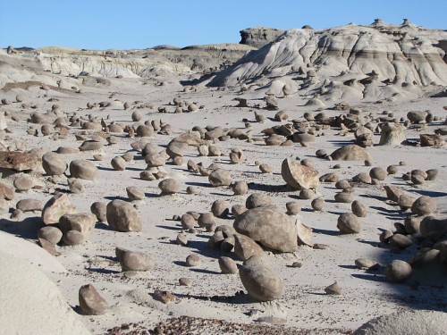 rock garden