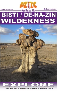 Bisti Wilderness