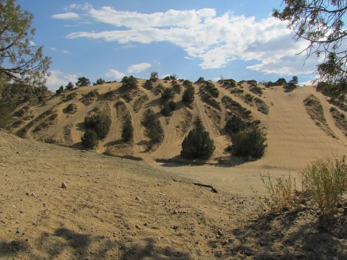 Dunes OHV Area