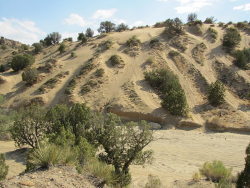 Dunes OHV Area