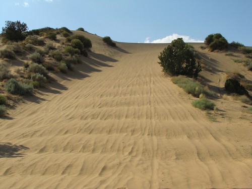 Dunes OHV Area