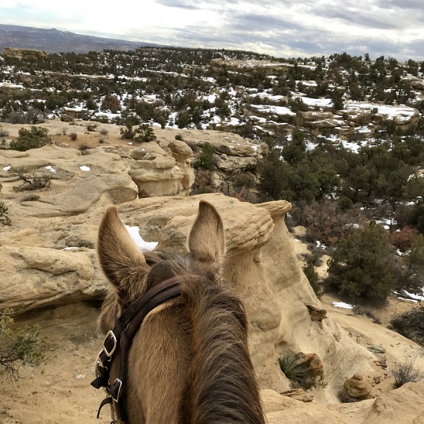 Caballo Canyon