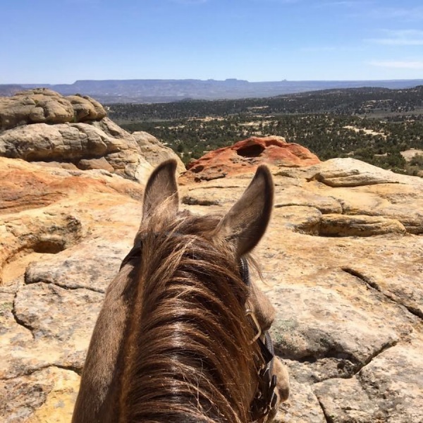 Caballo Canyon