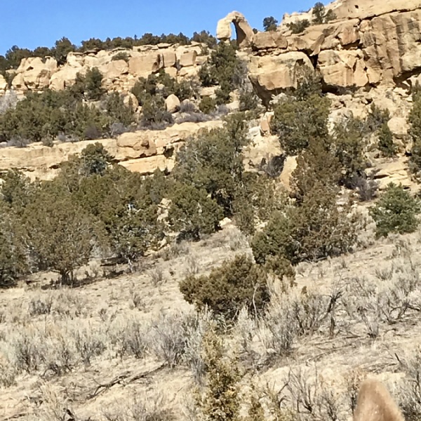 Cox Canyon Arch