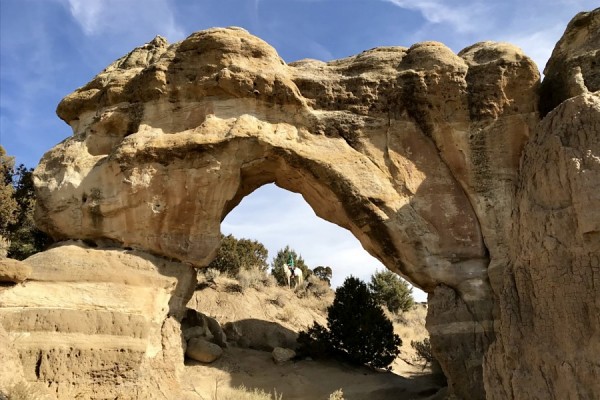 Arch Rock