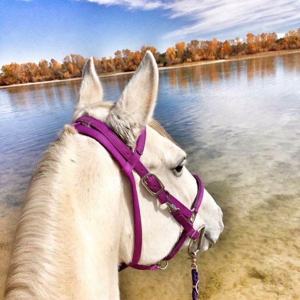 Farmington Lake