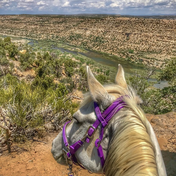 San Juan River Quality Waters