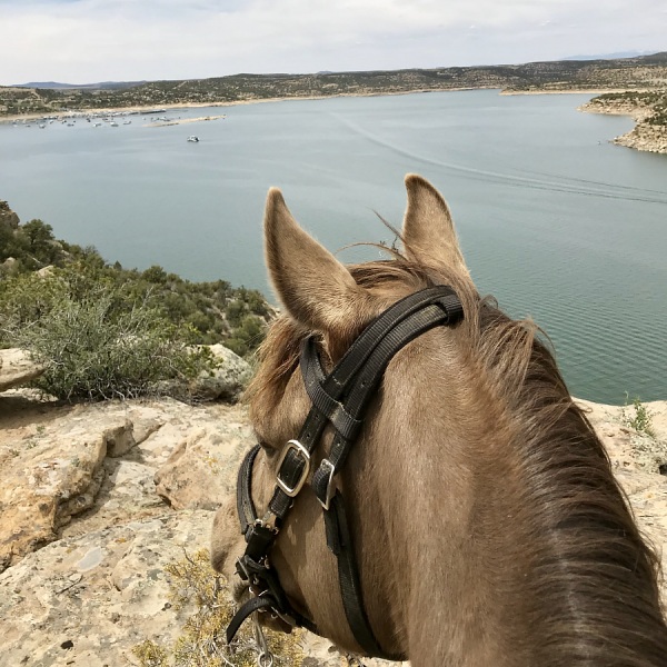 Navajo Lake