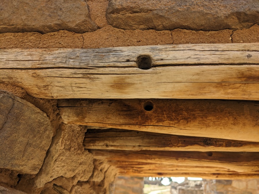 Dendrochronology